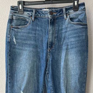 Articles of Society - Boyfriend Jeans
